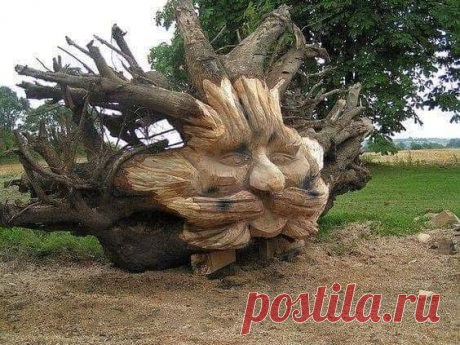 (86) Facebook