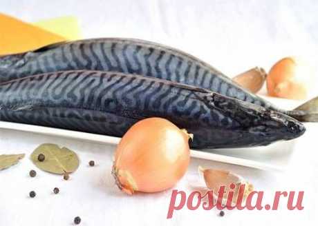 Скумбрия маринованная в домашних условиях / Простые рецепты