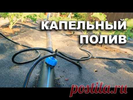 Капельный полив. Собираем за один день.