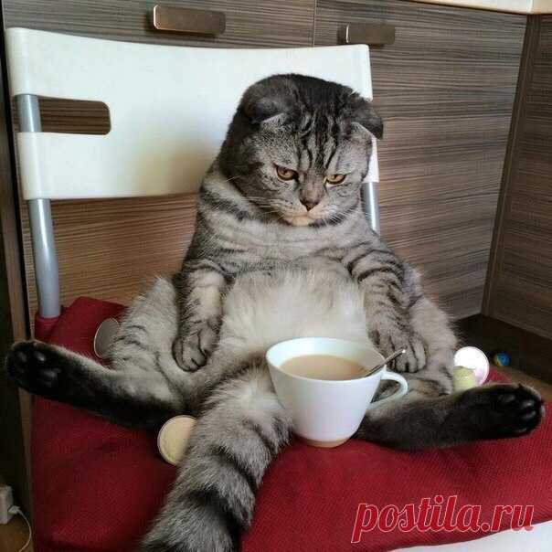 Доброе утро!!!)))))))))))))))