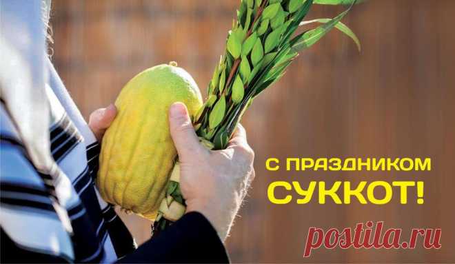 Мы Суккот сейчас вcтречаем,
Этот праздник шалашей
Непременно отмечаем
Мы с улыбкой до ушей!