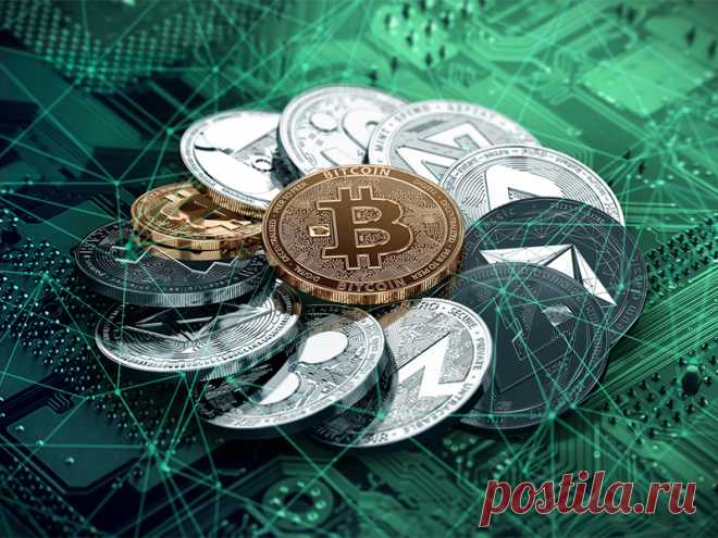 Пришли времена, когда зарплату могут выдать биткоинами | Закон и порядок
