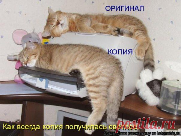 копии