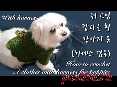 [ENG](코바늘 강아지 옷뜨기)탑다운 하네스 겸용 강아지옷(뒤트임)/ How to crochet an open back clothes with harness