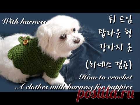 [ENG](코바늘 강아지 옷뜨기)탑다운 하네스 겸용 강아지옷(뒤트임)/ How to crochet an open back clothes with harness
