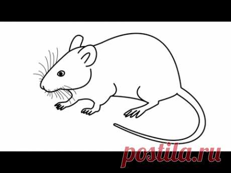 Drawing , Coloring  - बच्चों के लिए ड्राइंग, रंग -  Рисование, раскраски