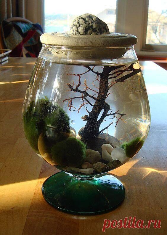 Миниатюрный аквариум как элемент декора ~ Planetalsad