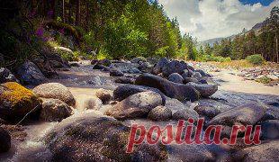 (19) Одноклассники