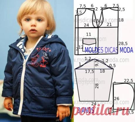 Fátima Carvalho Lopes - Google+