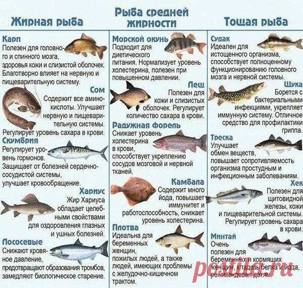 (6) Мой Мир@Mail.Ru