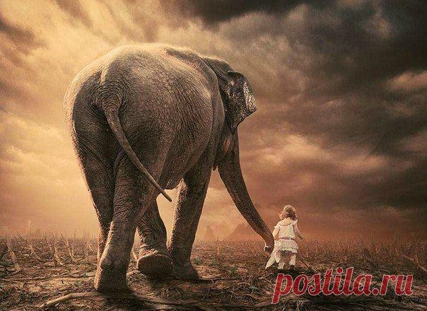 Один индийский мудрец сказал: "Как мать бережет свое единственное детище, ухаживает за ним, оберегает его и воспитывает его, так и ты, всякий человек, расти, воспитывай и оберегай в себе самое дорогое, что есть на свете: любовь к людям и ко всему живому. 
Этому учат все веры: и браминская, и буддийская, и еврейская, и китайская, и христианская, и магометанская. И потому самое нужное на свете — выучиться любить."
Лев Николаевич Толстой