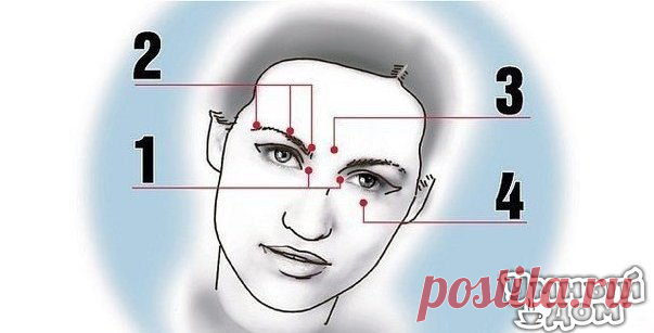 Как быстро снять усталость после долгого сидения за компьютером? Чтобы улучшить самочувствие, надо помассировать несколько точек на лице. Практически сразу вы почувствуете себя намного бодрее. Точка № 1. Внутренний угол глаз. Надавить синхронно с обеих сторон. Точка № 2. Сразу три точки. Внешний край брови, середина и внутренний край. Надавливать на симметричные точки на обеих бровях одновременно. Точка № 3. Выпуклый бугорок над переносицей строго между бровей. Точка № 4. Под зрачком глаза на…
