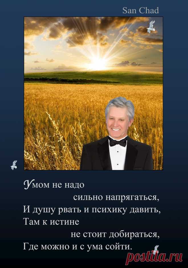 Александр Черных