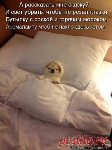 ЛЕЧЕНИЕ АЛЮМИНИЕВОЙ ФОЛЬГОЙ | Домохозяйки
