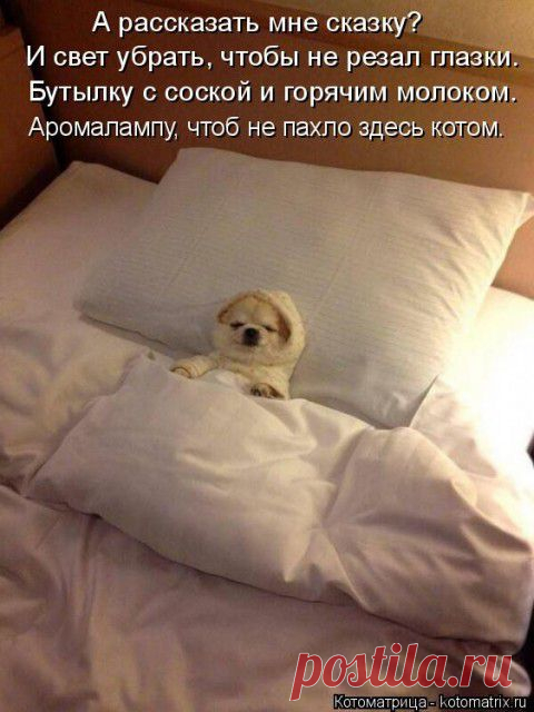 ЛЕЧЕНИЕ АЛЮМИНИЕВОЙ ФОЛЬГОЙ | Домохозяйки