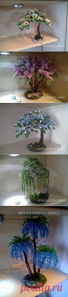 Одноклассники