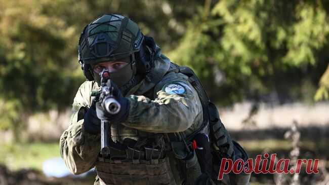 Российские военные отразили атаки ВСУ в направлении Малой Локни и Плехово
