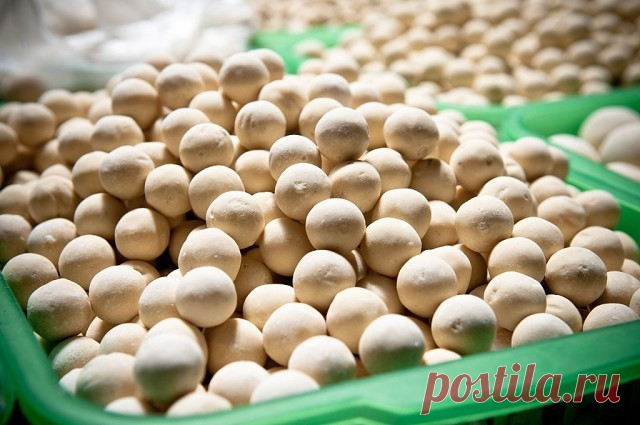 КУРТ-КУРУТ
 
Неважно, сколько лет азиату, младенец он или вековой старец, бай или простой пастух, но у него всегда найдется в кармане курт. Во всяком случае, так было в прошлые века и практически не изменилось сегодня - курт до сих пор остается излюбленным соленым лакомством 
￼
Курт (он же курут, корот, хурут, гурт, корт; с тюркского «коро» означает «сухой», «высушенный») - это калорийное кисломолочное изделие кочевников Центральной Азии, высушенное в естественных условиях...