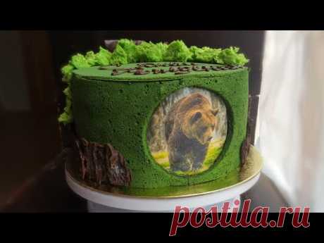 &quot;ЛЕСНОЙ&quot; декор для торта🌿кора, мох, японский заварной бисквит 🌿 FOREST cake decoration - YouTube