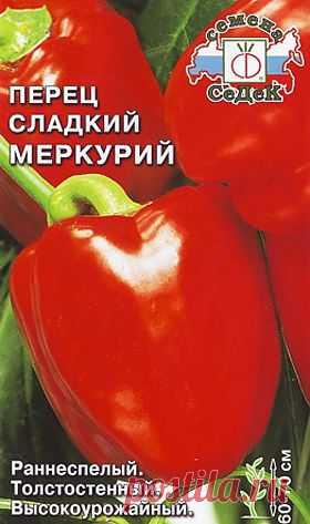Выращиваем болгарский перец на даче | SadimVmeste.ru - Блог о саде и огороде