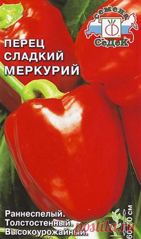 Выращиваем болгарский перец на даче | SadimVmeste.ru - Блог о саде и огороде
