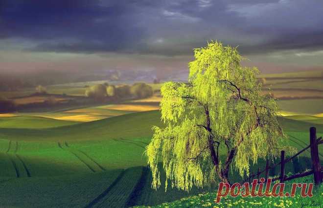 Невероятная красота! Фотохудожник Игорь Зенин