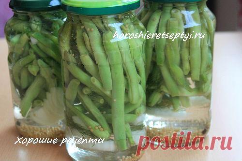 Спаржевая фасоль на зиму