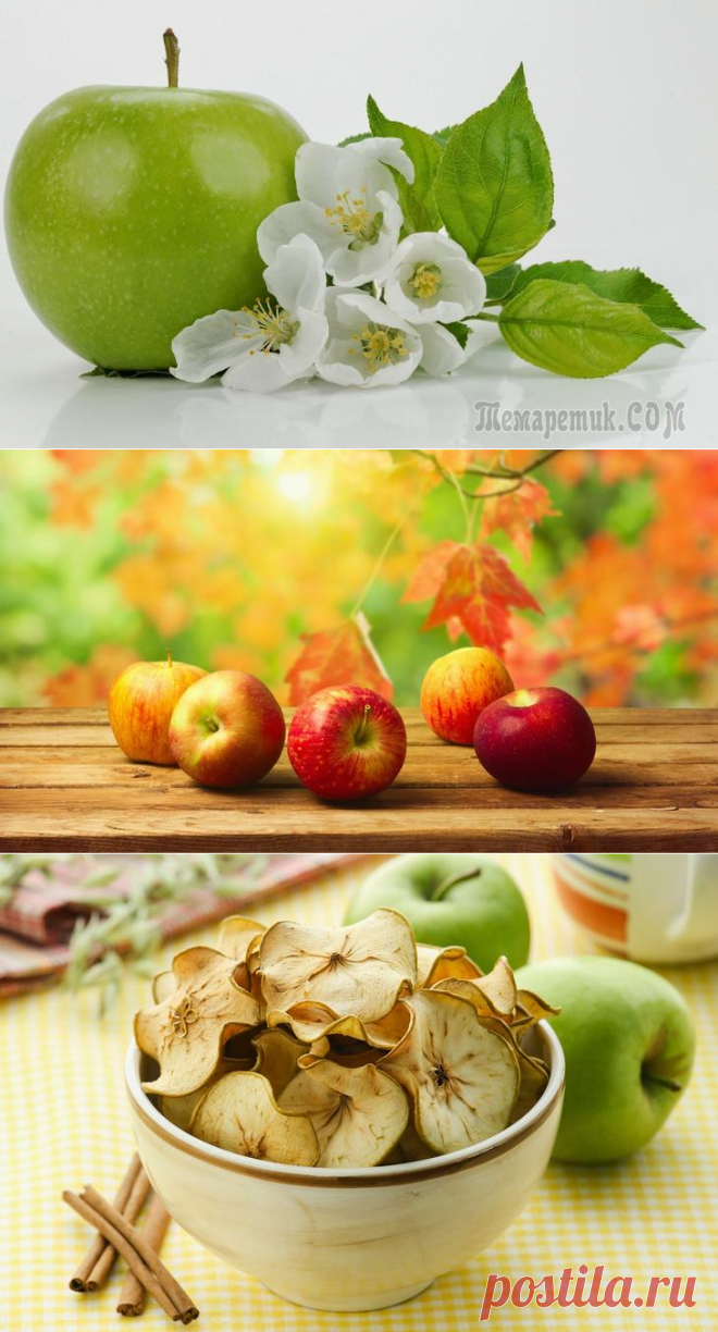 Тайны внутри яблока