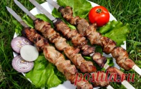 Шашлык из свинины / Шашлык / TVCook: пошаговые рецепты с фото