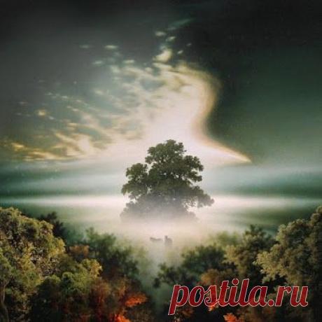 Красивые пейзажи Google+