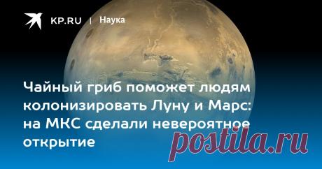 2023-ЧАЙНЫЙ ГРИБ поможет людям колонизировать Луну и Марс: на МКС сделали невероятное открытие Способности знаменитой культуры микроорганизмов выживать в космическом пространстве протестировали на МКС - ученые считают, что чайный гриб поможет людям колонизировать Луну и Марс