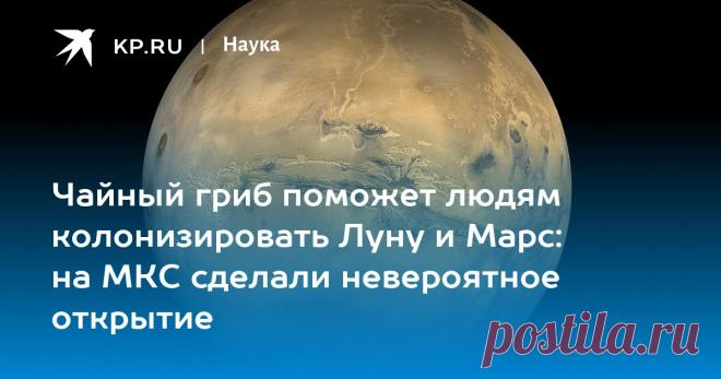 2023-ЧАЙНЫЙ ГРИБ поможет людям колонизировать Луну и Марс: на МКС сделали невероятное открытие Способности знаменитой культуры микроорганизмов выживать в космическом пространстве протестировали на МКС - ученые считают, что чайный гриб поможет людям колонизировать Луну и Марс