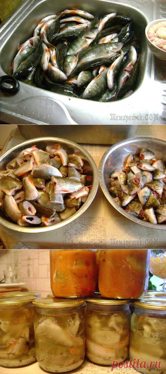 Консервы из речных окуней в масле и томате