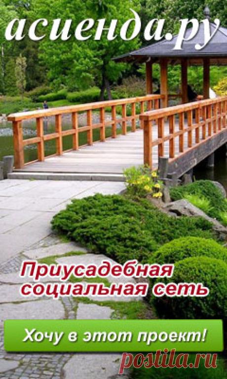 Шашлык из курицы (более 100 рецептов с фото) - рецепты с фотографиями на Поварёнок.ру