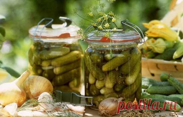 Сладкие маринованные огурчики! - Любимые рецепты Отличный рецепт маринованных огурчиков! Получаются вкусные и хрустящие! Ингредиенты: - Огурцы свежие (сколько войдёт в банку) ; - Зонтики укропа — 2-3 штуки - Лист хрена — 1-2 штуки - Лавровый лист — 3 штуки - Перец чёрный горошек — 4 горошины - Перец душистый горошек — 4 шт; - Чеснок — 4-5 зуб.; - Сахар …