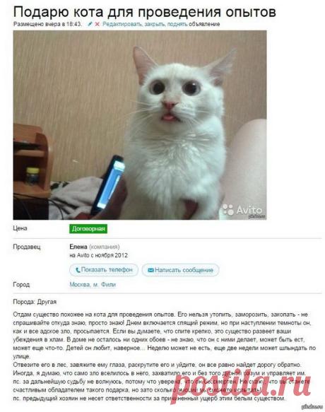 Народный креатив — Убойный юмор