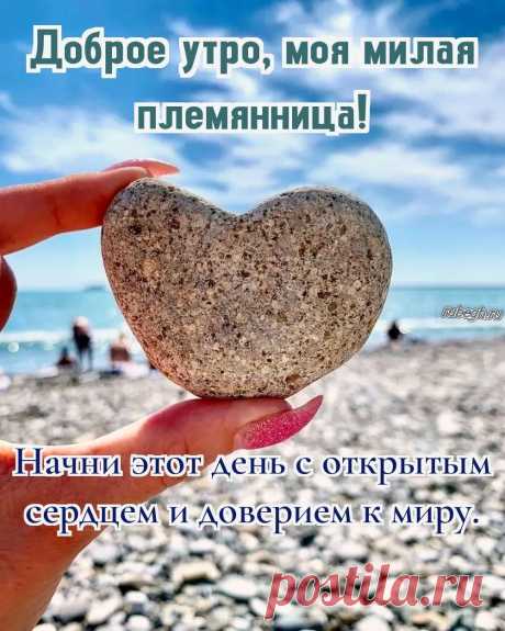 «Доброе утро племяннице!»