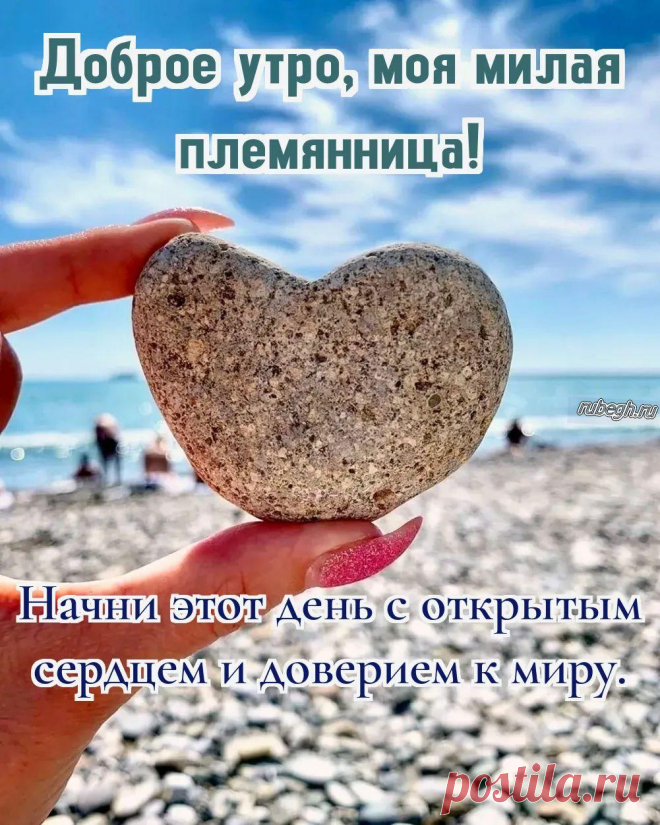 «Доброе утро племяннице!»
