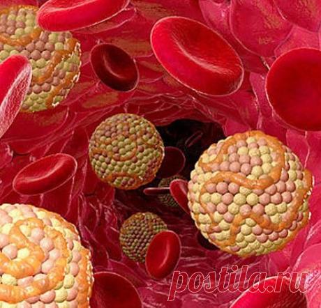 25 фактов, которые нужно знать о холестерине....