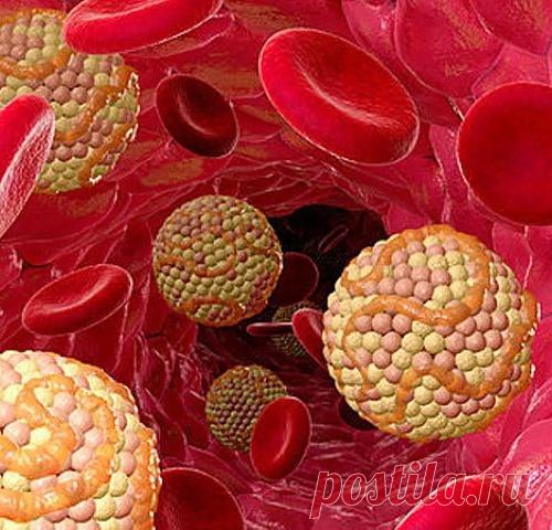 25 фактов, которые нужно знать о холестерине....