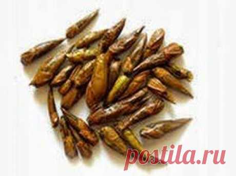 Чистота – залог красоты | Друг пенсионера
Я бы хотела поделиться с женщинами одним секретом, который помогает мне сохранять свежесть лица. Тоник для лица я готовлю сама. Объясню почему. Магазинный стоит недешево, а хватает его ненадолго.