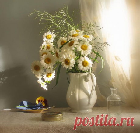 (3) Facebook