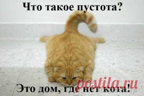 Когда у вас есть кот Быть с котами - хорошо. Без котов - плохо. Вот что я знаю. Даже если все плохо, за окном дождь и серость, на работе аврал и еще какая беда случилась, ты приходишь домой, и ты не один. Он свернется клу...
