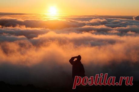 2. Проявляйте упорство

Благодаря настойчивости черепаха достигла ковчега. А готовы ли продолжать двигаться до тех пор, пока не достигните свой цели. Человек не обязательно может быть умнее вас, но если он проявляет большую настойчивость в преодолении трудностей, то тогда он победит.
(А. Эйнштейн)