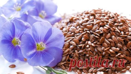 Как употреблять семена льна?

Польза семян льна для похудения известна с давних пор. Также семена этого растения благоприятно влияют на пищеварение, предупреждают целый ряд болезней и способствую укреплению иммунитета. Именно поэтому сегодня мы познакомимся с самыми эффективными и полезными рецептами, которые еще не раз вас выручат, и расскажем о том, как же употреблять семена льна.Самое простое в применении и приготовлении средство для похудения, это, пожалуй, отвар из се...