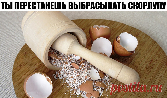 (2) Одноклассники
