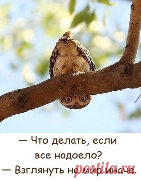 Настя Сапожникова