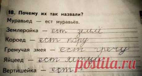 ВОСКРЕСНОЕ ХИ-ХИ ВАМ...