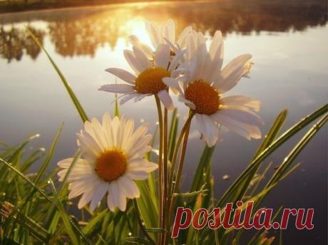 Марина Савченко