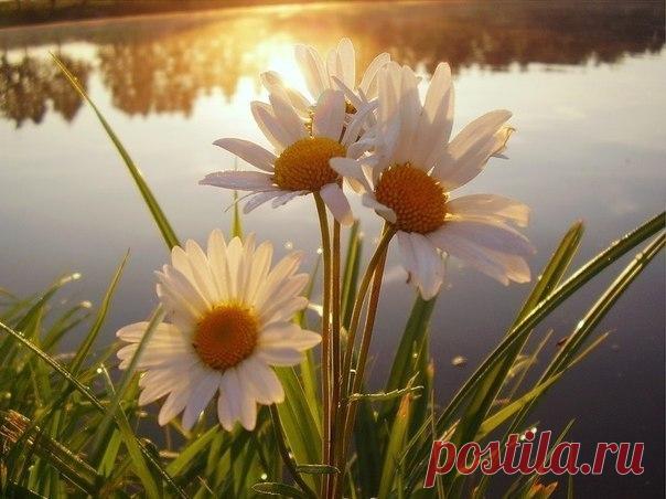 Марина Савченко